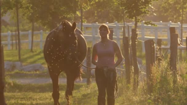 Slow Motion Dof Menina Levando Cavalo Deslumbrante Entre Currais Campo — Vídeo de Stock