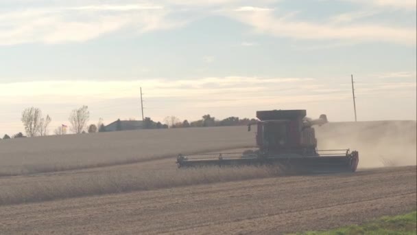 Cerrar Agricultor Trabajador Cosechadora Tractor Trabajando Campo Seco Polvoriento Cosechando — Vídeo de stock