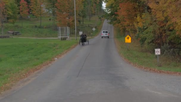 Millersburg Estados Unidos Octubre 2016 Mujeres Amish Ropa Tradicional Conducción — Vídeo de stock