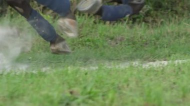 Ağır çekim, Close Up, Dof: Ayrıntı güçlü kahverengi at bacakları polo ile toz yükselterek kumlu patika çalışan sarar. Toynakları toz kaldırma tozlu yolda cantering. Doğada Binicilik