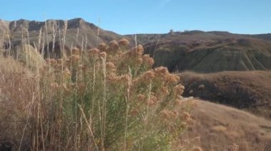 Güzel sonsuz kumtaşı oluşumları ve kuru ot kır at Badlands Ulusal Park Güney Dakota'da. Great Plains içinde geniş otlak dışında yükselen erozyona uğramış rocky Dağları, çarpıcı yatay