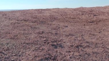 Güzel sonsuz kumtaşı oluşumları ve kuru ot kır at Badlands Ulusal Park Güney Dakota'da. Great Plains içinde geniş otlaklar dışında yükselen erozyona uğramış rocky Dağları, çarpıcı yatay