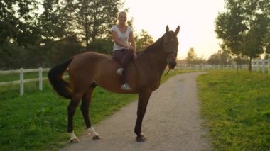 Ağır çekim yakın çekim: neşeli kız üzerinde rahatlatıcı akşam yolculuktan sonra bağdaş ile bir güzel kahverengi iğdiş edilmiş hayvan üzerinde oturan at çiftliği. Genç kadın onun sevgili aygır Altın ışık günbatımında okşama