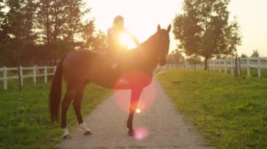 Üzerinde rahatlatıcı sonra bir güzel kahverengi aygır at çiftliği binmek akşam açık bacaklar ile oturan kadar yavaş hareket yakın gülümseyen kız geçti. Genç kadın altın gün batımında onun sevgili iğdiş edilmiş hayvan sevecen