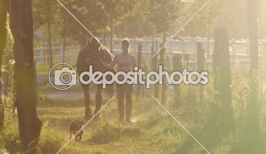 Ağır çekim Dof: Altın ışık akşamı kız önde gelen çarpıcı at alanından ahıra kontrast. Küçük köpek çitler arasında onların yol takip. Çiftlik üzerinde günbatımında çalışan genç kadın