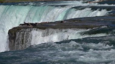Ağır çekim yakın çekim: zorla sarp bir kayalık kenar üzerinde akan güçlü azgın whitewater şelale. Berrak mavi buzul akışı nehir uçurumdan düşüyor. Bir Niagara Falls haritasında görkemli rapids