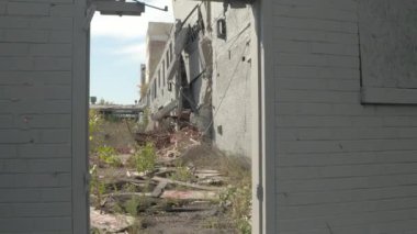 Yakın çekim: Keşfetmek yarda önünde terk edilmiş çökmekte eski Fisher araba fabrikası otomotiv şirketi Detroit, Amerika Birleşik Devletleri içinde büyümüş. Gür yapraklar hızla fabrika geri ödemelerine tesislerinde mahvetti