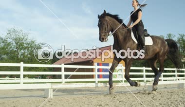 Ağır çekim yakın çekim: açık sürme arenada güneşli bahar gününde çalışan güzel koyu kahverengi iğdiş edilmiş hayvan. Çarpıcı at kumlu paddock adlı kırsal çiftlik Canter yapıyor kadın binici Binicilik