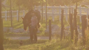 Ağır çekim, Dof: çarpıcı at alanından ahıra Altın ışık akşamı önde gelen kız. Küçük köpek çitler arasında onların yol takip. Kadın çiftçi muhteşem günbatımı çiftlik üzerinde çalışma