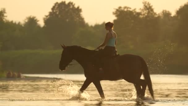 慢动作 密切了 自由度 年轻女孩骑强大棕色种马在浅水里到另一侧的河岸在农村 神奇的金色光日落时黑湾马过河更广泛 — 图库视频影像