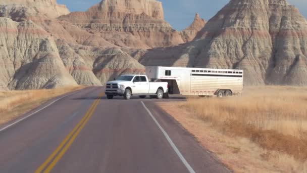 带家畜拖车的皮卡车沿着蜿蜒的道路行驶 穿过荒地景观 形成砂岩和干黄草 大平原草原上的活牛运输 — 图库视频影像