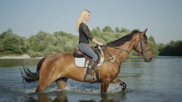 Slow Motion Close Dof Beautiful Girl Long Hair Horseback Riding — Stock Video