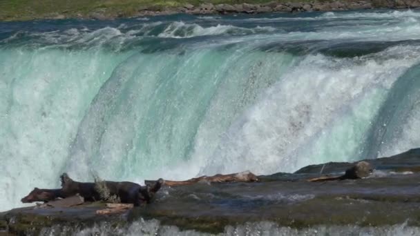 Zpomalený Pohyb Close Silné Zuřící Whitewater Vodopád Teče Energicky Přes — Stock video