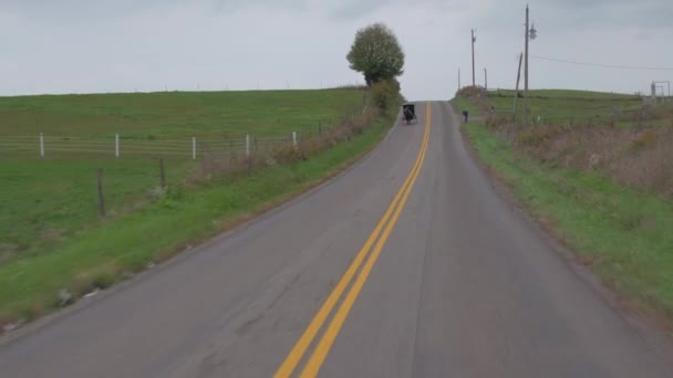 Close Traditionele Amish Familie Paardenkoets Reizen Verleden Weelderige Groene Weide — Stockvideo