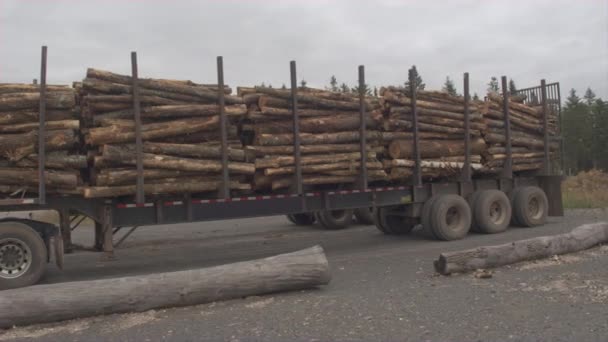 Antenowe Zamknij Się Latające Wzdłuż Ciężarówki Naczepy Harvester Timberjack Załadowana — Wideo stockowe