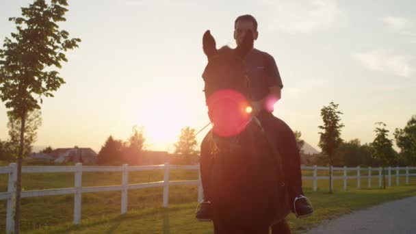 スローモーション 閉じる のDof 黄金の光の夕日で美しい茶色の馬に乗って高齢者の馬 農地の砂利道に沿って歩く彼女の背中に高齢者と素晴らしい馬 — ストック動画