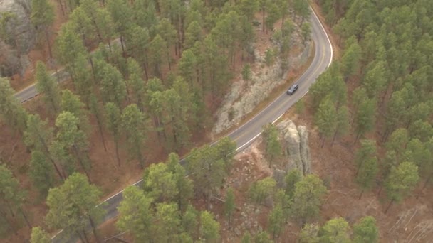 航空写真 ブラック ヒルズ 米国で日当たりの良い松林の中山峠の道を蛇行運転黒い Suv ジープ車の上を飛んでください Roadtrip ロッキー山脈を通して急な曲線高速道路の旅の人々 — ストック動画