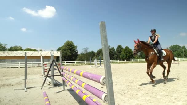 慢动作 低角度 马童骑美丽的栗子马跳围栏在阳光明媚的户外公园竞技场 马与女车手训练为体育场跳跃比赛 — 图库视频影像