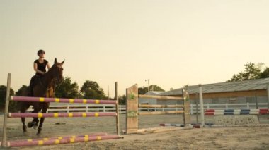 Ağır çekim yakın kadar güzel koyu kahverengi iğdiş edilmiş hayvan ve altın ışık güneş doğarken açık parkour arenada çitin üstünden atlayarak sürme kadın. Açık atlama yarışması için eğitim bir binici ile at