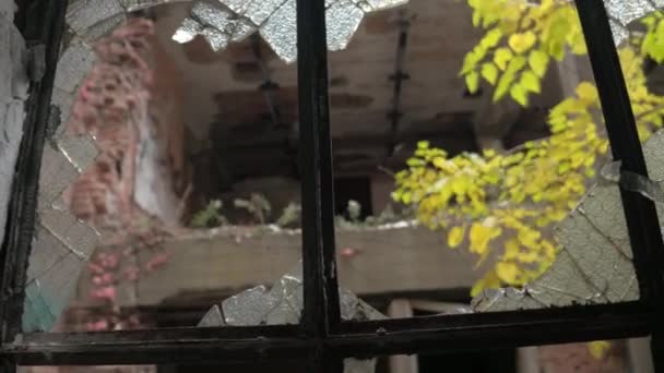 自由度 通过一个破碎的玻璃在一个腐烂的废弃的旧建筑 在摇摇欲坠的门面看着一个残忍的窗口 倒塌的房子在闹鬼的幽灵镇毁了苦难和贫困 — 图库视频影像