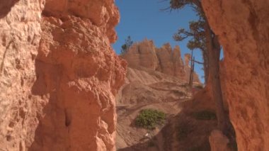 Kadın uzun yürüyüşe çıkan kimse Bryce Canyon Milli Parkı güneşli Utah şaşırtıcı keşfetmek zikzaklı yol aşağı yürüyüş. Bryce Canyon, zikzak iz hiking genç kadın turist Milli Parklar ve yerler ziyaret