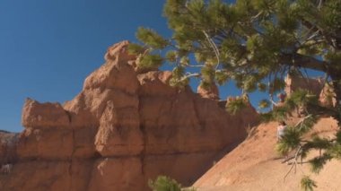 Tozlu yolda yürüyen genç kadın gezgin kumtaşı Hudu oluşumları Bryce Canyon Milli Parkı'nda güneşli Utah keşfetmek. Genç kadın turist tozlu yolun Bryce Canyon ABD hiking