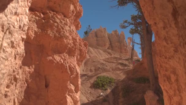 Mulher Caminhante Andando Pelo Caminho Switchback Explorando Incrível Bryce Canyon — Vídeo de Stock