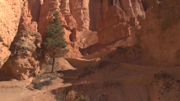 Young Woman Hiker Walking Winding Path Exploring Majestic Hoodoo Formations — Stock Video