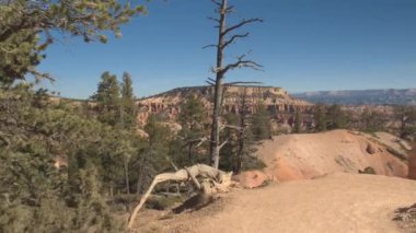 Boş kir yolu kırmızı rock Bryce Canyon Milli Parkı Utah ABD çarpıcı aracılığıyla eğme. İz sarma geçmiş kumtaşı hoodoos ve erozyona uğramış kayalık ayağı güneşli gün Amerika Birleşik Devletleri'nde hiking Lonely
