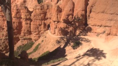 Mutlu kadın gezgin Bryce Canyon Milli Parkı güneşli Utah çarpıcı keşfetmek boş bir yol boyunca yürüyüş. Bryce Canyon, bir iz hiking genç kadın turist Milli Parklar ve yerler ziyaret