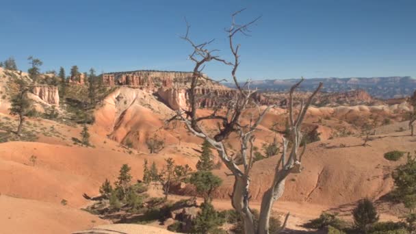 空土の道は 美しい赤い岩アメリカ合衆国ユタ州のブライスキャニオン国立公園を介してリードします アメリカ合衆国で晴れた日に過去の砂岩高屋と浸食された岩柱に巻線トレイルをハイキング ロンリー — ストック動画