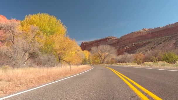 航空写真 上を飛んでトラフィックの完全な複数車線の幹線道路は 晴れた日に広大な秋の紅葉林に覆われた山岳風景を湾曲します 丘陵の道道旅行車 — ストック動画