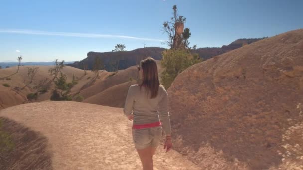 Young Woman Hiker Walking Empty Path Admiring Sandstone Hoodoo Formations — Stock Video