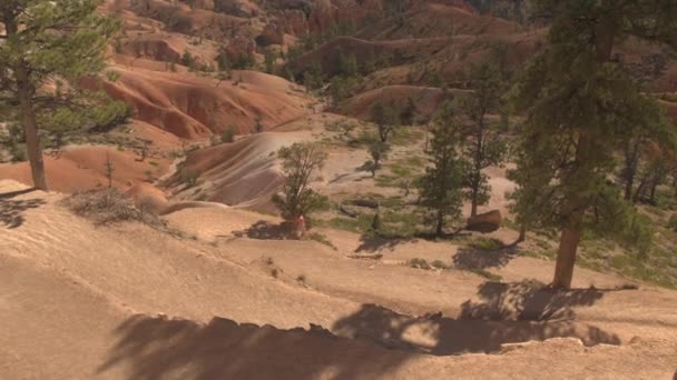 Unerkennbare Reiserin Die Den Serpentinenpfad Hinuntergeht Und Majestätische Hoodoo Formationen — Stockvideo