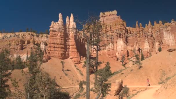 Unerkennbare Wanderin Die Den Serpentinenpfad Hinunterwandert Und Majestätische Hoodoo Formationen — Stockvideo
