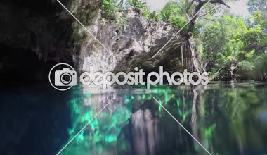 Slow Motion Sualtı Kadını kristal berrak nehirde şnorkelle yüzüyor. Orman çerçeveli bir gökyüzünün altında antik bir Grand Cenote obruğunun çarpıcı güzelliğini keşfediyor. Kayalık duvarın kenarından sarkan gür yapraklar.