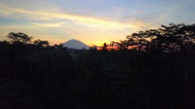 Hava: yemyeşil büyümüş palmiye ağacı orman ve muhteşem teraslı pirinç çeltik alanları Dağı Batur volcano mesafe ile yukarıda Cennet Adası Bali rüya gibi günbatımına uçan. Gündoğumu ateşli gökyüzüne