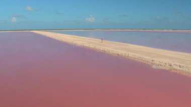 Yukarı hava yakın uçan çarpıcı pembe salinas boyunca kum Meksika plajındaki yürüyen kadın yukarıda deniz su bakan turkuaz Okyanusu ufukta dolu. Las Coloradas güzel pembe saltworks