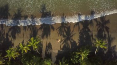 Hava yukarıdan aşağıya yaklaşırken: Sıçramasına köpüklü okyanus su dalgaları arıyorum güzel kahverengi kumsalda oturuyor surfboard ile genç adam. Güneşli Bali güzel tropik sahil üzerinde rahatlatıcı surfboarder