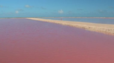 Yukarı hava yakın uçan çarpıcı pembe salinas boyunca kum Meksika plajındaki yürüyen kadın yukarıda deniz su bakan turkuaz Okyanusu ufukta dolu. Las Coloradas güzel pembe saltworks