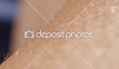 Alan derinliği makro yakından: Cilt ve saç erkek'ın kolundaki detayını. Işık saç dışarı parlak beyaz cilt büyüyen