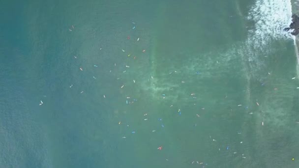 AERIAL TOP DOWN Les débutants sur des planches de surf et longboards apprennent à surfer sur le spot de surf bondé Canggu Bali. Des foules de gens flottant sur l'eau dans la file essayant d'attraper des vagues mousseuses près de la plage falaise 
