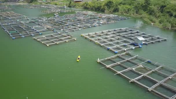 Letecká Létající Nad Krásné Jezero Batur Plné Náměstí Ponořené Bambus — Stock video