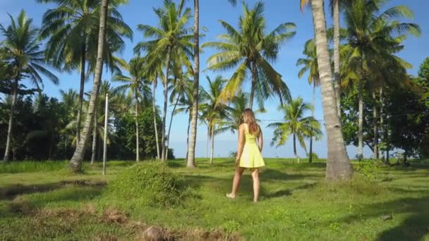가까이 여행자 풍경에서 잔디와 야자수로 화창한 섬에서 노란색 드레스 — 비디오