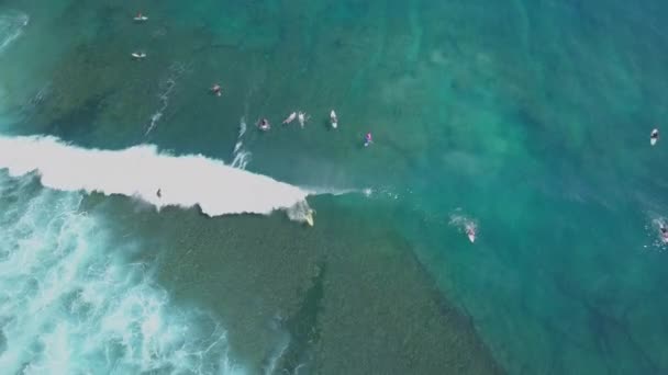 Aerial Beginners Pro Surfers Waiting Lineup Catch Breaking Wave Crowded — Stock Video