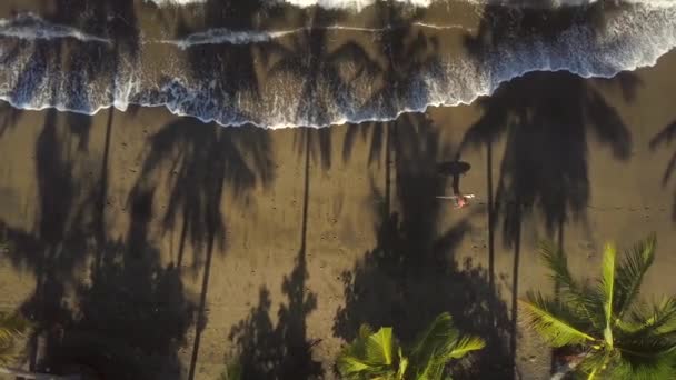 Aerial Top Young Surfer Holding Surfboard Hands Walking Brown Sandy — Stock Video