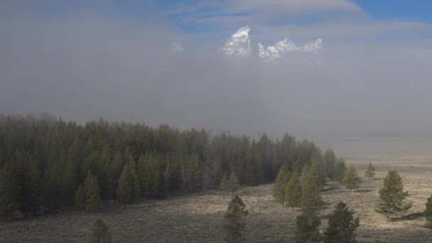 Aerial Flying Pine Trees Dense Clouds Revealing Stunning Grand Teton — Stock Video