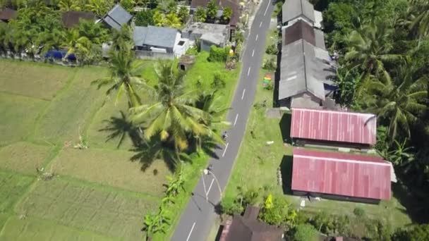 Aerial Top Dois Turistas Andando Moto Através Arrozais Verdes Exuberantes — Vídeo de Stock