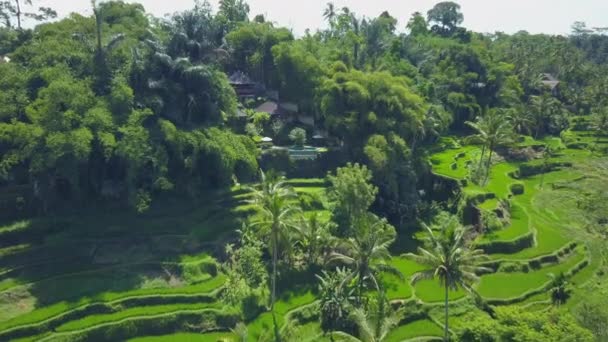 Luchtfoto Close Naderen Gelukkig Jonge Vrouw Zomervakantie Genieten Luxe Vakantieparken — Stockvideo