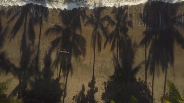 Aerial Top Flying Unrecognizable Surfboarder Walking Sandy Beach Carrying Surfboard — Stock Video